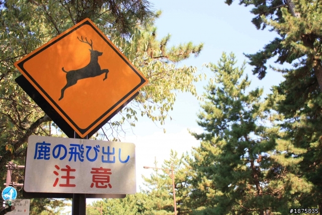 大阪海遊館(圖多)- 已新增奈良與京都照片