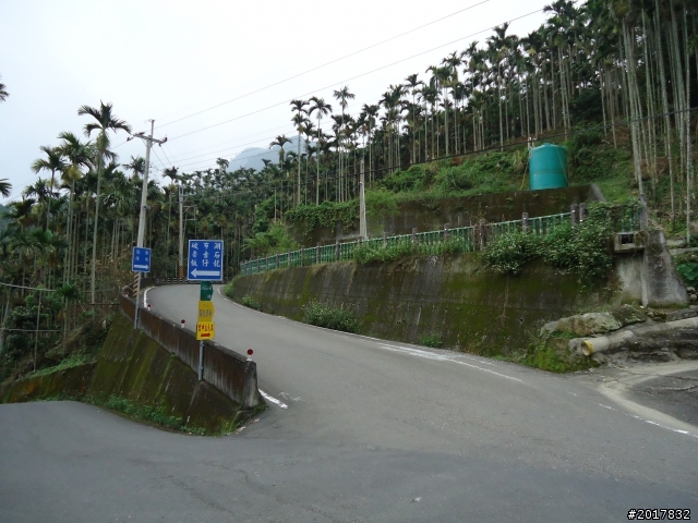 9/12塔塔加登東埔山--獨自漫步幽靜的特富野古道