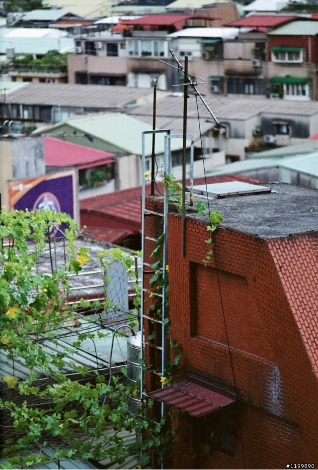 請教各位底片老手,這樣的沖掃結果 (看來全都像是 LOMO 照) 是否正常 ?