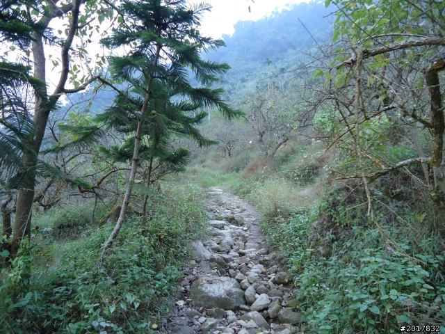 10/22南瀛巡旅之梅嶺(梅峰古道武龍殿步道)