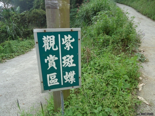10/22南瀛巡旅之梅嶺(梅峰古道武龍殿步道)