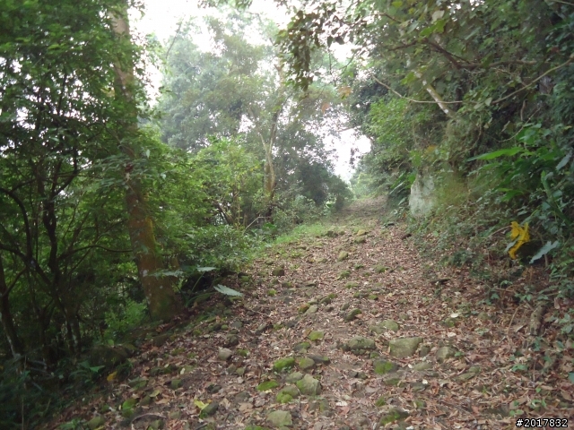 10/22南瀛巡旅之梅嶺(梅峰古道武龍殿步道)