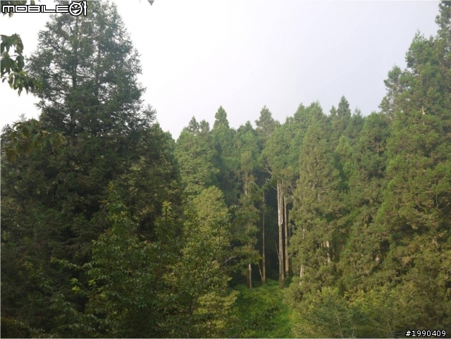 2011九月的 阿里山之行and FOCUS上下坡油耗討論