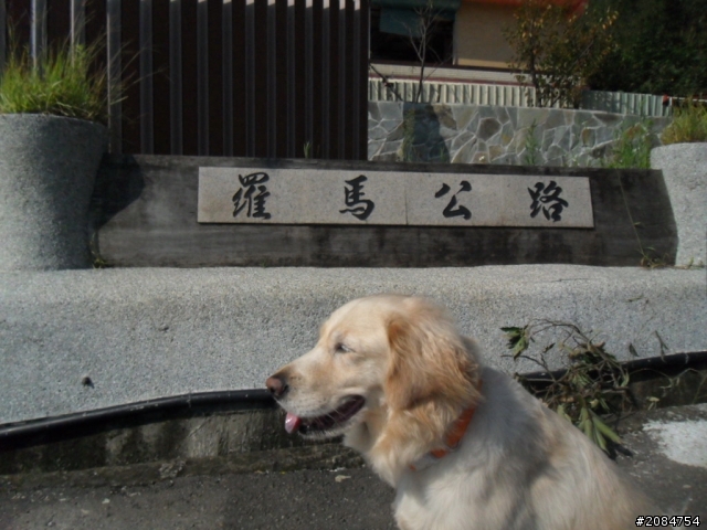 她,就是省道一姐!張拉拉環島初體驗。