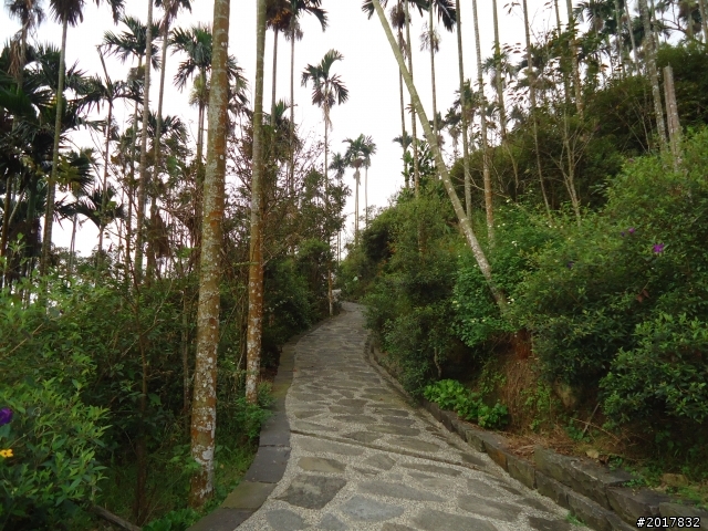10/22南瀛巡旅之梅嶺(梅峰古道武龍殿步道)