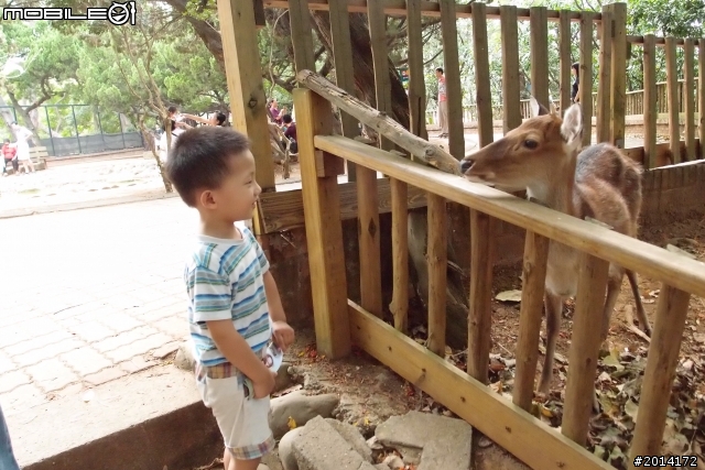 日日村~動物園一日遊