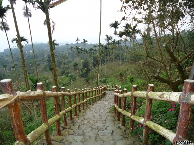 10/22南瀛巡旅之梅嶺(梅峰古道武龍殿步道)