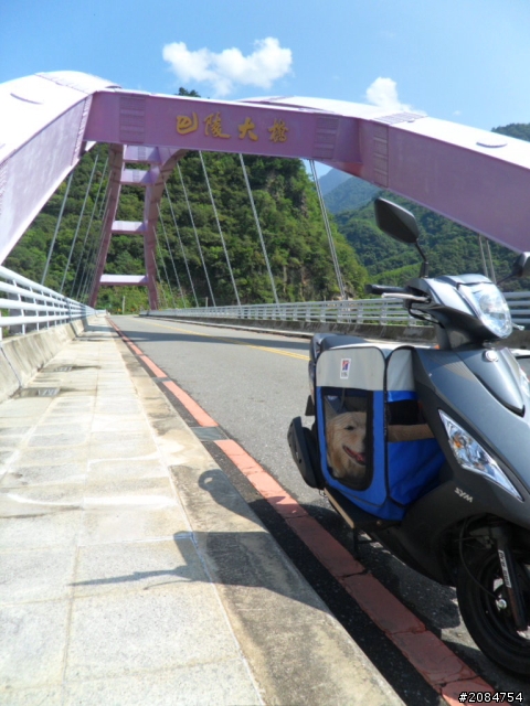 她,就是省道一姐!張拉拉環島初體驗。