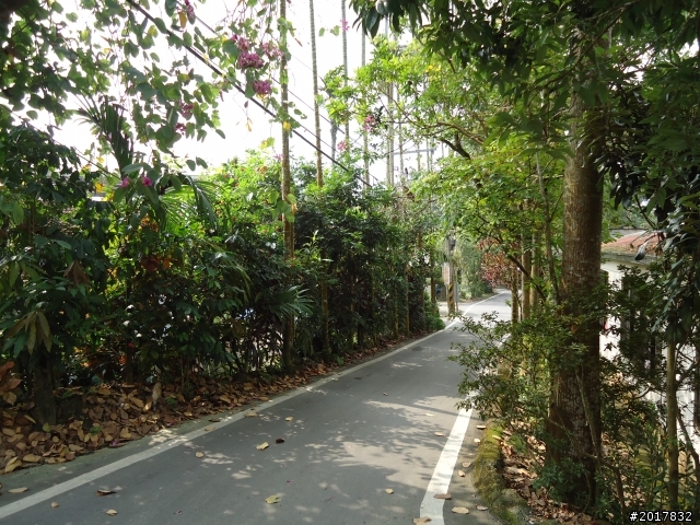 10/22南瀛巡旅之梅嶺(梅峰古道武龍殿步道)
