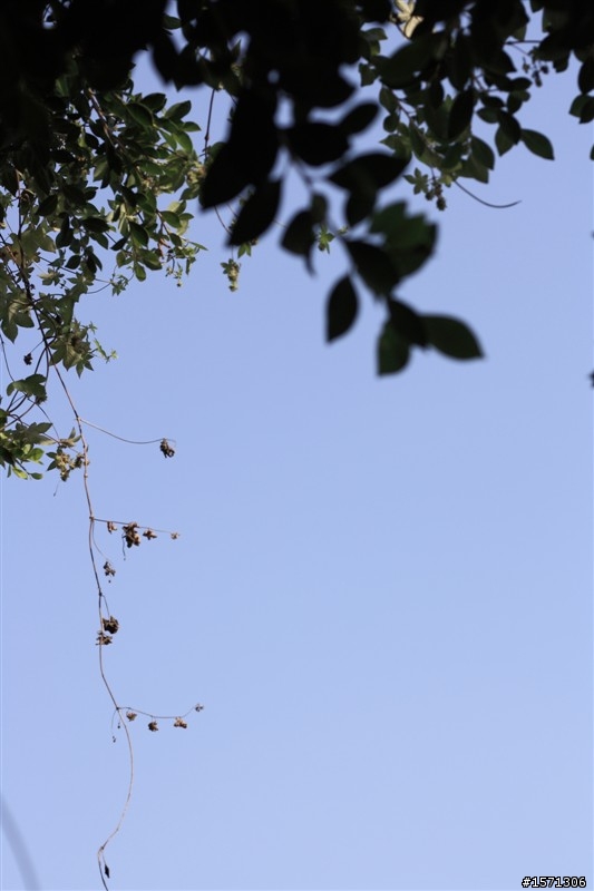 童話般的彩虹村