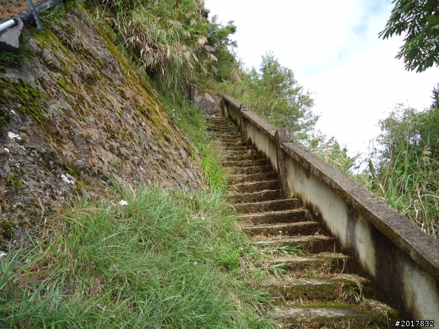 10/14戀戀阿里山--鄒族聖山塔山之巔