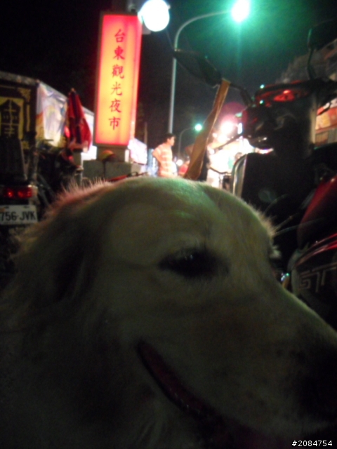 她,就是省道一姐!張拉拉環島初體驗。