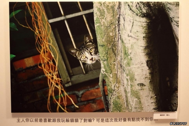 四四南村-你在哪裡-體驗攝影展