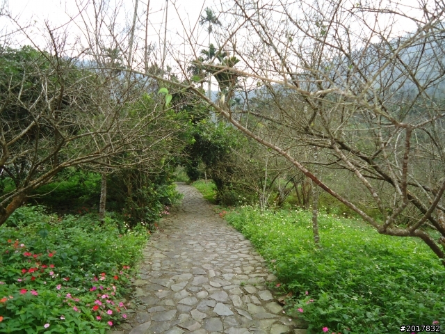 10/22南瀛巡旅之梅嶺(梅峰古道武龍殿步道)