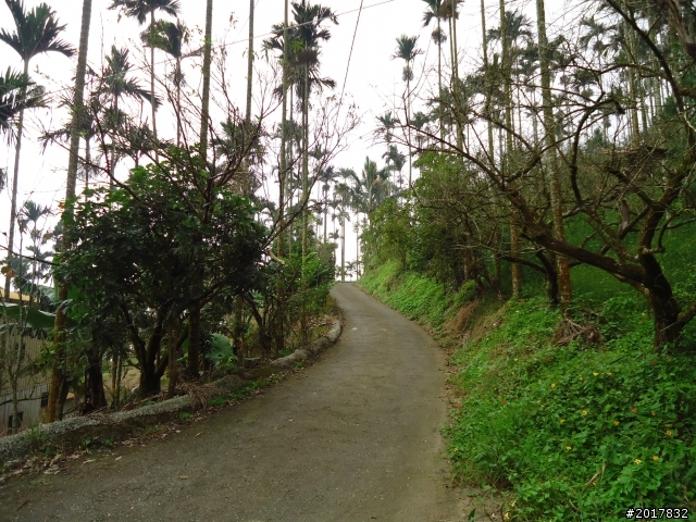 10/22南瀛巡旅之梅嶺(梅峰古道武龍殿步道)
