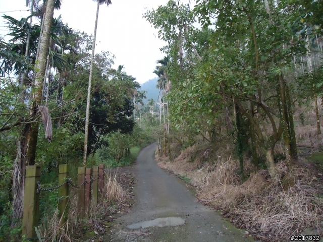 10/22南瀛巡旅之梅嶺(梅峰古道武龍殿步道)