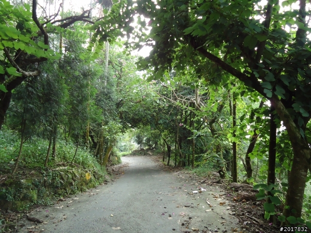 10/22南瀛巡旅之梅嶺(梅峰古道武龍殿步道)