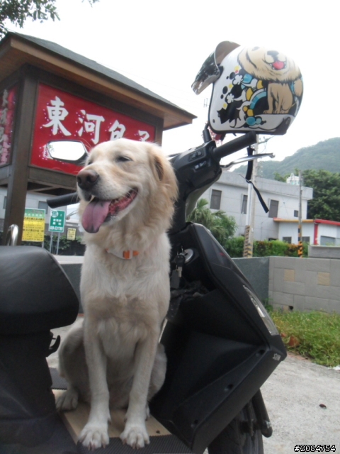 她,就是省道一姐!張拉拉環島初體驗。