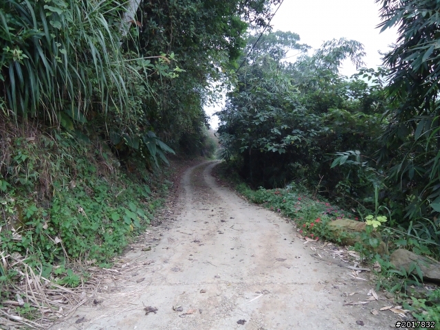 10/22南瀛巡旅之梅嶺(梅峰古道武龍殿步道)