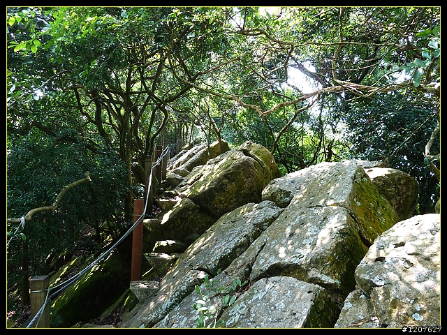 2011.10.20_載女王回家順逛南化-龍麟山步道!