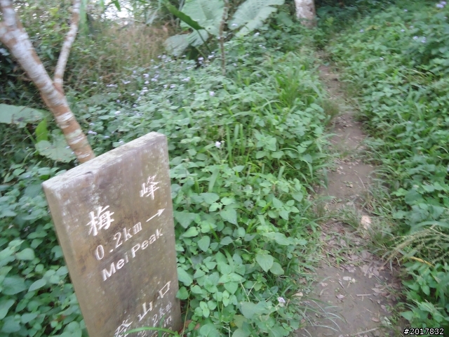 10/22南瀛巡旅之梅嶺(梅峰古道武龍殿步道)