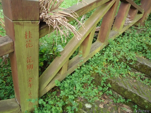 10/22南瀛巡旅之梅嶺(梅峰古道武龍殿步道)