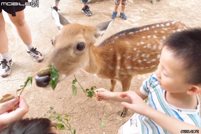 日日村~動物園一日遊
