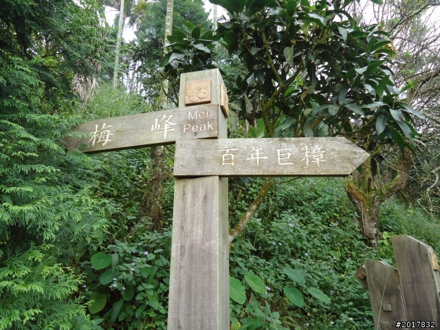 10/22南瀛巡旅之梅嶺(梅峰古道武龍殿步道)