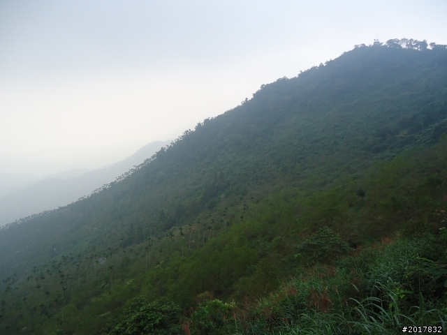 10/22南瀛巡旅之梅嶺(梅峰古道武龍殿步道)