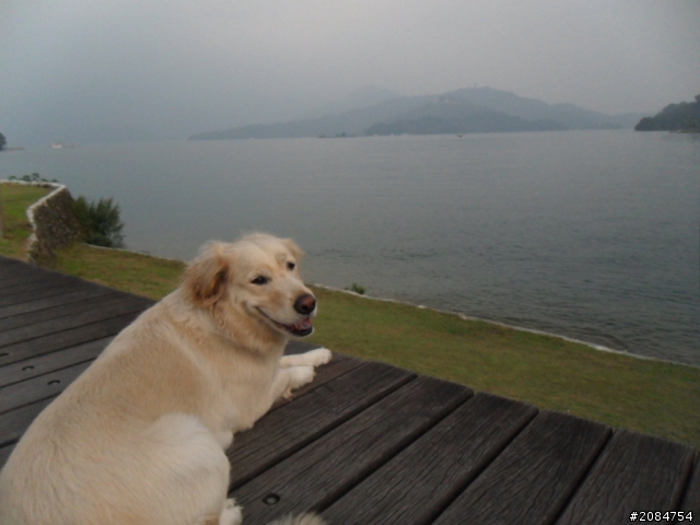 她,就是省道一姐!張拉拉環島初體驗。