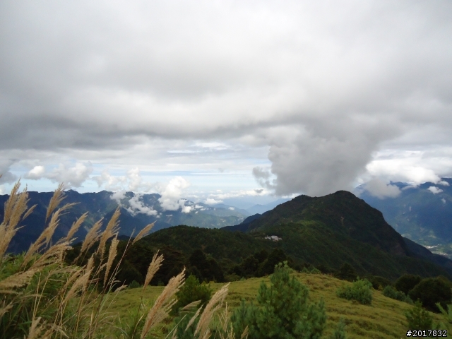 10/8塔塔加朝聖之旅(前進鹿林山麟趾山)