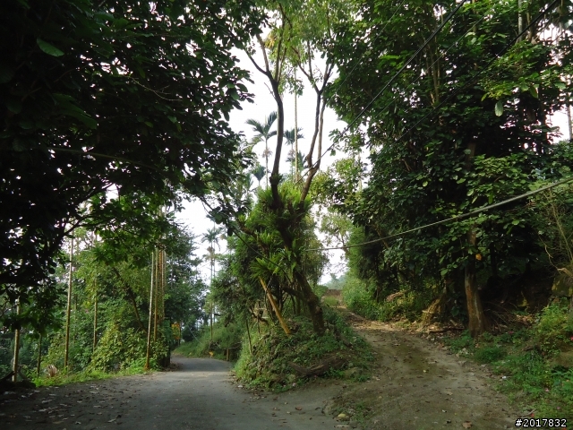 10/22南瀛巡旅之梅嶺(梅峰古道武龍殿步道)