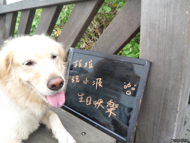 她,就是省道一姐!張拉拉環島初體驗。