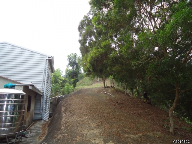 10/22南瀛巡旅之梅嶺(梅峰古道武龍殿步道)