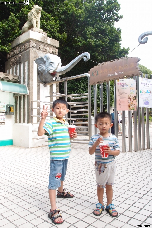日日村~動物園一日遊
