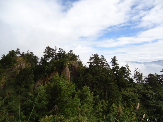 10/14戀戀阿里山--鄒族聖山塔山之巔