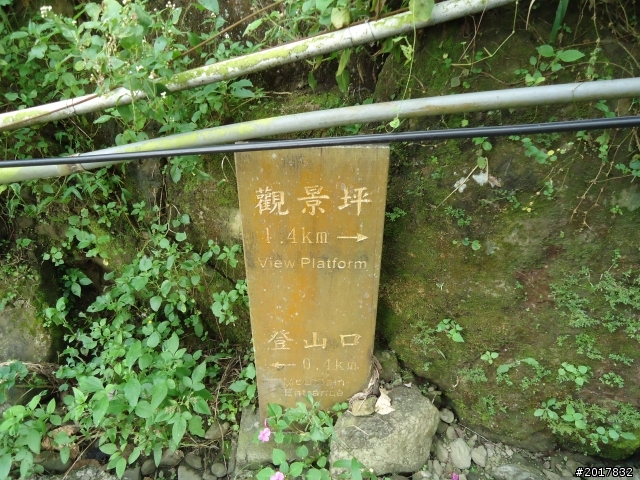 10/22南瀛巡旅之梅嶺(梅峰古道武龍殿步道)