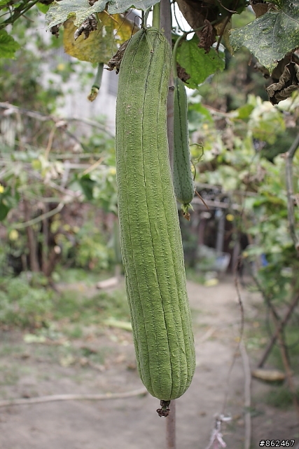 2011.09.24~30環島之旅(圖少文少= =!)