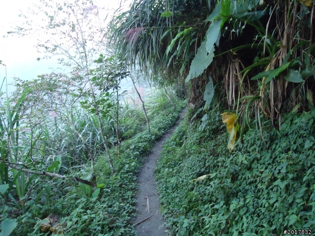 10/22南瀛巡旅之梅嶺(梅峰古道武龍殿步道)