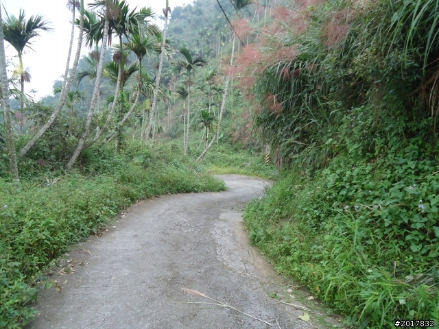 10/22南瀛巡旅之梅嶺(梅峰古道武龍殿步道)