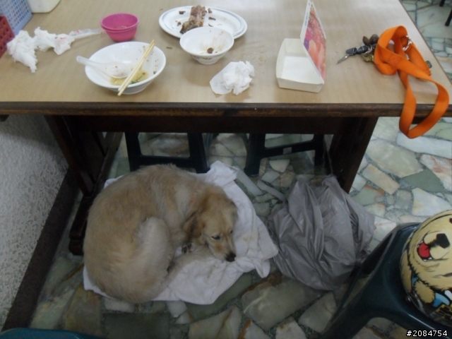她,就是省道一姐!張拉拉環島初體驗。