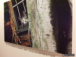 愛玩耍。四四南村【你...在哪裡?】體驗攝影展