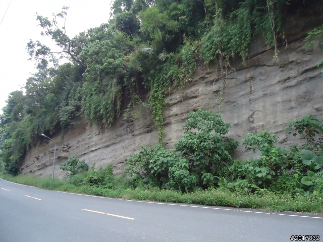 10/22南瀛巡旅之梅嶺(梅峰古道武龍殿步道)