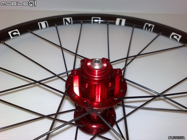 熊仔閒來無事發個文~~SUN ringle!!
