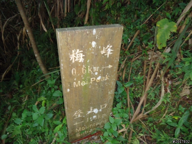 10/22南瀛巡旅之梅嶺(梅峰古道武龍殿步道)