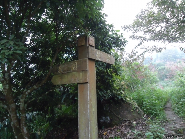 10/22南瀛巡旅之梅嶺(梅峰古道武龍殿步道)