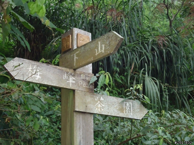 10/22南瀛巡旅之梅嶺(梅峰古道武龍殿步道)