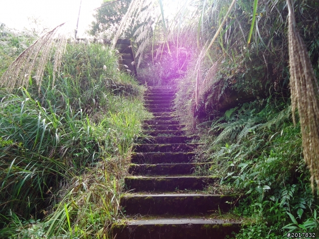 10/14戀戀阿里山--鄒族聖山塔山之巔