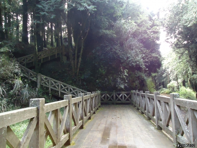10/14戀戀阿里山--鄒族聖山塔山之巔