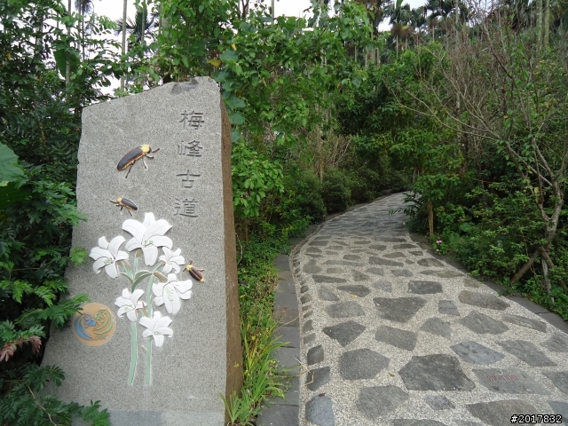 10/22南瀛巡旅之梅嶺(梅峰古道武龍殿步道)